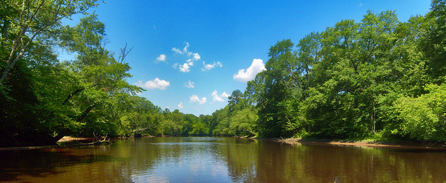 Mattaponi River 